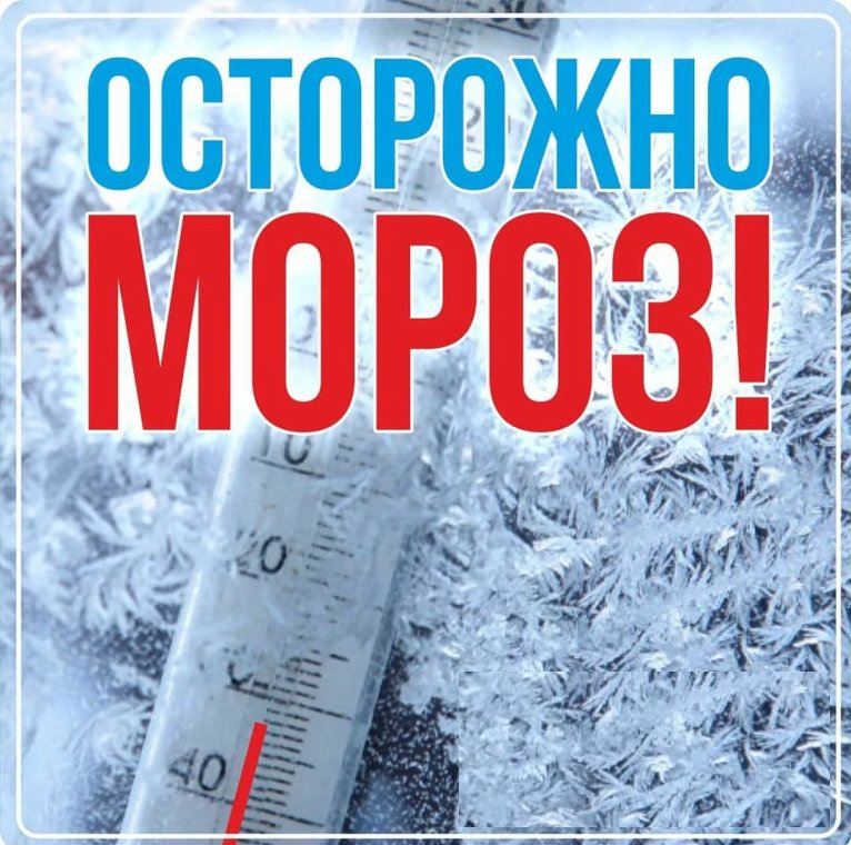 Асу рсо шентала школа номер один